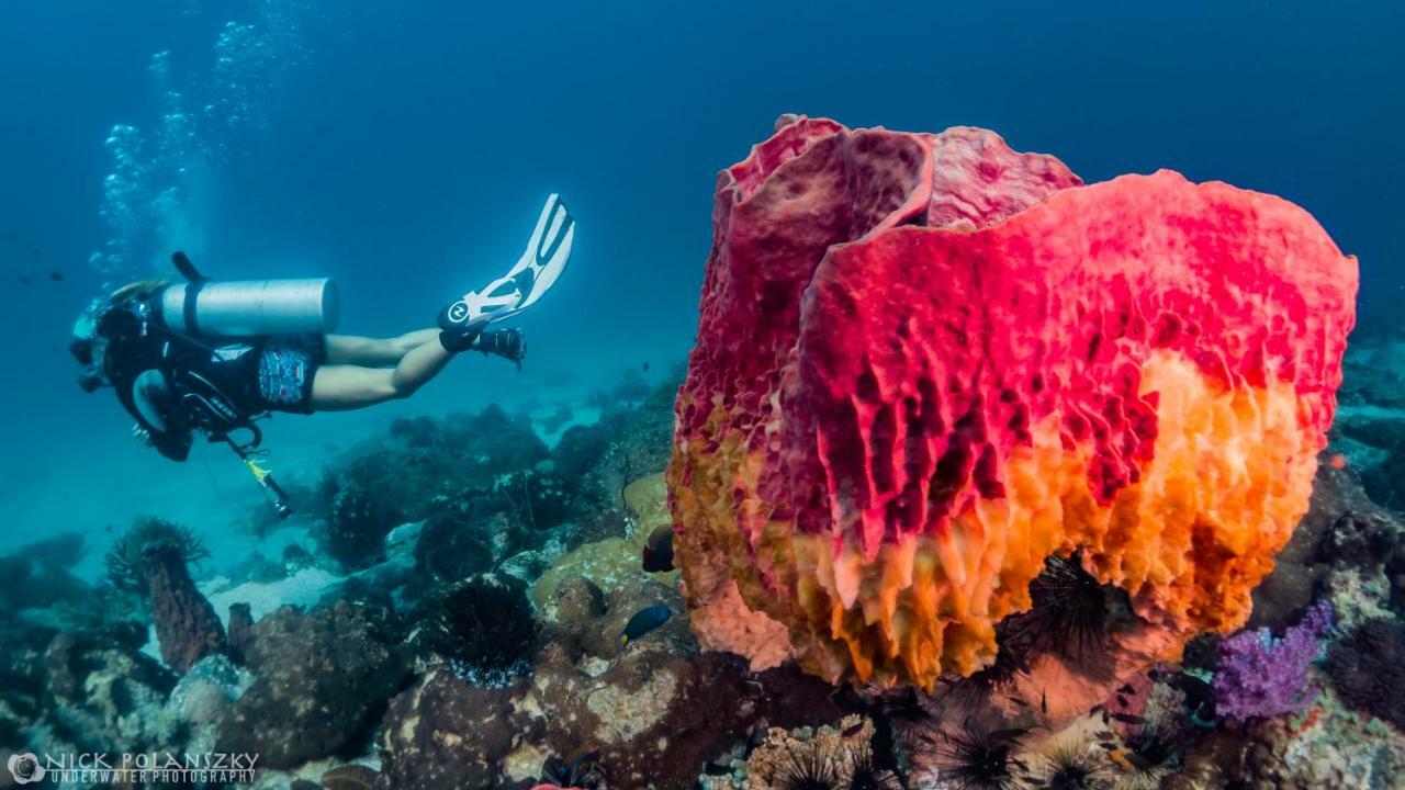 Forra Dive Resort Pattaya Beach Ко Липе Экстерьер фото