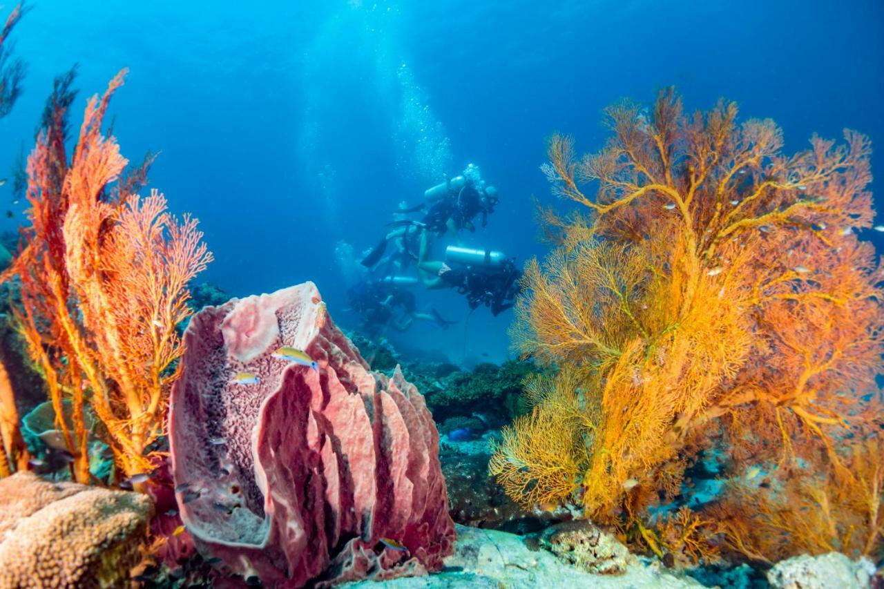 Forra Dive Resort Pattaya Beach Ко Липе Экстерьер фото